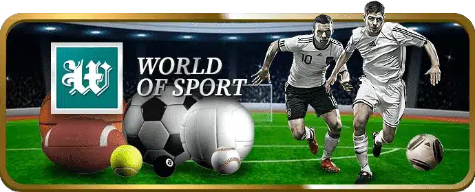 betvisa sports_wos.webp